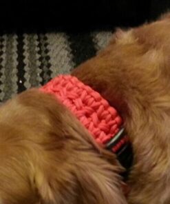 Paracord Planet - Genuine Type III 550 Paracord Nylon Colors Multiple Sizes – 550 LB Tensile Strength 100 feet Orange 25 51xAvaG4K5L