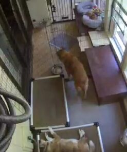 BISSELL Garage Pro Wall-Mounted Wet Dry Car Vacuum/Blower With Auto Tool Kit, 18P03, Stealth Metallic Gray 52 51xOUg4uzPL