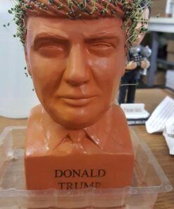 Chia Pet Donald Trump President with Seed Pack, (8" x 4.5" x 7.3") Decorative Pottery Planter, Easy to Do and Fun to Grow, Novelty Gift, Perfect for Any Occasion 47 51xQBuCHCIL