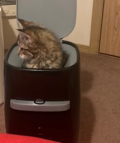 Litter Genie Plus Pail (Black) | Cat Litter Waste Disposal System for Odor Control | Includes 1 Square Refill Bag 56 51xSahDmTnL