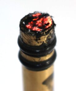 PSKOOK Metal Fire Piston Educational Campers/Survival/Preppers Scientific Lesson 17 51xdrYWAUIL