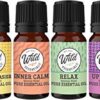 Wild Essentials 6 Pack Synergy Blend Aromatherapy Essential Oil Gift Set 100% Pure, Undiluted 10ml Bottles of Breathe Easy, Alert, Inner Calm, Relax, Uplifting, Zen, Made in USA