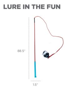 Outward Hound Tail Teaser Durable Dog Wand with Soft Plush Toys 24 51y1RlhlodL