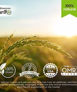 DiatomaceousEarth Food Grade DE 2 lb Diatomaceous Earth - 100% Organic All Natural Diamateous Powder 7 51y9OgEbvvL 1
