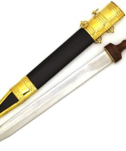 Medieval Warrior Roman Pompeii Sword with Scabbard Mirror Polished Steel Blade 7 51yBjJ2hhhL