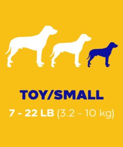 PEDIGREE DENTASTIX Toy/Small Dog Dental Treats Original Flavor Dental Bones, 13.97 oz. Pack (58 Treats) Chicken 58 Count (Pack of 1) 18 51yEjr2mvnL