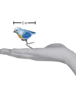 Old World Christmas Ornaments: Bird Watcher Collection Glass Blown Ornaments for Christmas Tree, Baby Bluebird 5 51yGTv83W8L