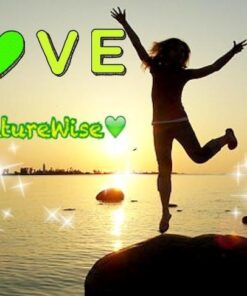 Naturewise Garcinia Cambogia (2 Month Supply) Pure Garcinia Cambogia 100% HCA Extract Concentrated to 60% for Weight Goals (180 Capsules) 180 Count (Pack of 1) 30 51yYyMrVWrL