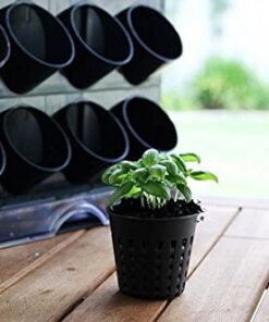 Watex Countertop Garden Kit, Black, Indoor Garden 11 51yckKBtjxL