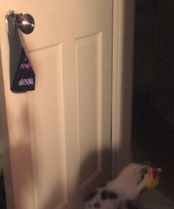 SPOT by Ethical Products A-Door-Able Plush Bird Cat Toy with Feathers – Interactive Cat Toy for Indoor Cat – with Catnip 4.5" 16 51ym2g1WCL