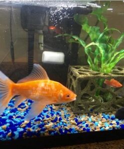 Aqueon Replacement Filter Cartridges Medium - 6 pack 27 51z5szhQG8L