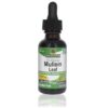 Nature's Answer Alcohol-Free Mullein Leaf 1oz Extract | Herbal Supplement | Supports Respiratory Function & Mucous Membranes | Non-GMO, Kosher, Gluten-Free | Single Count 21 51zWGkWRTsL