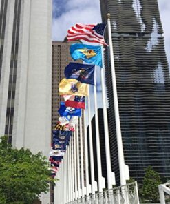 Annin Flagmakers Florida State Flag USA-Made to Official State Design Specifications, 4 x 6 Feet (Model 140970) 4x6 ft. 12 51zcixQrmL