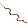 Safari Ltd. Coral Snake Figurine - Detailed 23" Plastic Model Figure - Fun Educational Play Toy for Boys, Girls & Kids Ages 18M+ 12 51zdFaQ MGL