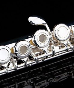 Glory Silver Plated Intermediate Open/Closed Hole C Flute with Case,Tuning Rod,Polish Cloth,Joint Grease,a pair of Gloves and screw driver 16 Open Hole 14 51zgVRPBWLL