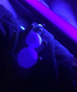 Crazy Aaron's Thinking Putty 4" Tin - Phantoms Foxfire - Glowing Sparkle Glow Putty, Soft Texture - Never Dries Out 18 51zk6y KwNL