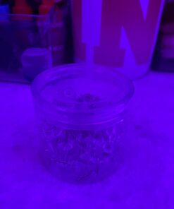 Amazon Basics Push Pins Tacks, Clear Plastic Head, Steel Point, 100-Pack 100 pack 21 51zqX 9xmyL