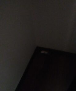 Terro Liquid Ant Killer Baits(6 Bait Stations Net Contents 2.2fl.oz/0.36fl.oz) 25 51zrM1KDjAL