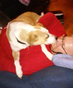 Grand Theft Auto V - Xbox 360 56 61 3rqqWoLL