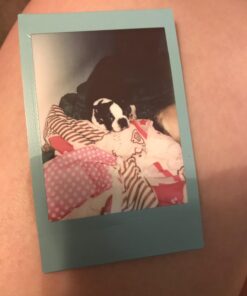 Fujifilm Instax Mini Sky Blue Film - 10 Exposures 10 Film Pack 19 61 87OPU5RL