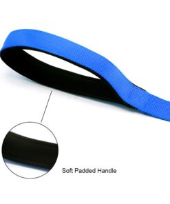 Wellbro 3 in 1 Durable Nylon Dog Leash with Padded Handle, Three- Way Pet Leash with a Coupler, Adjustable and Detachable, Lead for Small, Medium Dogs (Blue) Blue 12 61 96Nto5tL