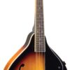 Savannah SA-100 A-Model Mandolin, Sunburst 21 61 AxNDFsL