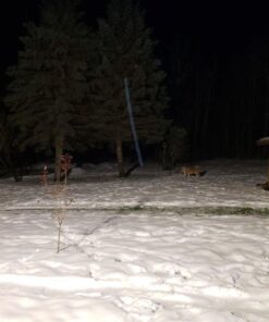 SOLLA 150W LED Flood Light, IP66 Waterproof, 12000lm, 800W Equivalent, Super Bright Outdoor Security Lights, 3000K Warm White, Outdoor Floodlight for Garage, Garden, Lawn and Yard 31 61 Bdr4j3UL