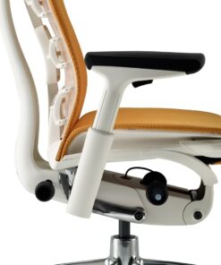 Herman Miller Embody Ergonomic Office Chair | Fully Adjustable Arms and Carpet Casters | Black Balance 15 61 BjFkeyL