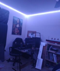 Tenmiro 65.6ft Led Strip Lights, Ultra Long RGB 5050 Color Changing LED Light Strips Kit with 44 Keys Ir Remote Led Lights for Bedroom, Kitchen, Home Decoration 54 61 FzMRgYyL