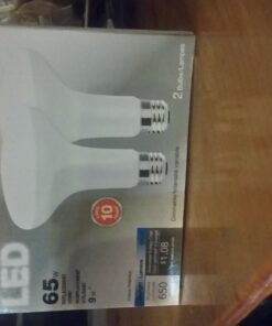 SYLVANIA LED Flood BR30 Light Bulb, 65W=9W, 10 Year, Medium Base, 650 Lumens, Dimmable, 5000K, Daylight - 2 Pack (73956) 65w / Daylight 5000k 2 Count (Pack of 1) 33 61 HWziWD L