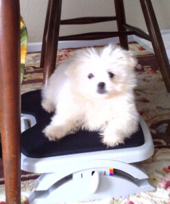 Kensington Comfort Memory Foam Adjustable Footrest (K56144USF), Smartfit, White/Black 46 61 I8wwMAQL