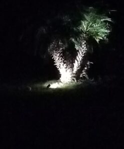 LemonBest 2pcs LED Landscape Garden Wall Yard Path Pond Flood Spot Light Outdoor IP65 Decorative Lamp Cool White 12V 35 61 Nch5B14L