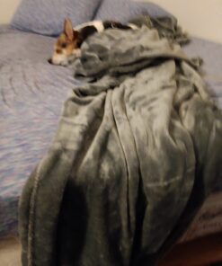 Electric Heated Blanket 72"x84" Full Size with 4 Heating Levels and 10 Hours Auto-Off Large Oversized Heating Blanket with Soft Plush Fabric for Bedding - Beige Full(72"x84") 31 61 R6zJlNcL