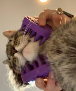 KONG - Cat ZoomGroom Purple 47 61 TmeaE1WL