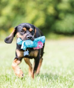 Alternative view of KONG - Cozie™ Rosie Rhino - Indoor Cuddle Squeaky Plush Dog Toy - For Medium Dogs