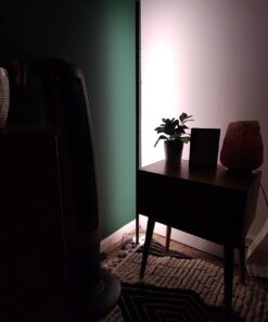 Govee RGBIC Floor Lamp, LED Corner Lamp Works with Alexa, Smart Modern Floor Lamp with Music Sync and 16 Million DIY Colors, Color Changing Standing Lamp for Christmas Bedroom Living Room Black 30 61 cfLzekbL