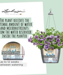 Lechuza 15190 Nido Cottage-All-In-One, White, 11 x 9 inch Self Watering Planter, D27 H23 cm 12 61 d6XiaahL