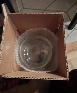 FastRack 1 gal Glass Wine Fermenter, INCLUDES Rubber Stopper and Twin Bubble Airlock, Multicolor 1 Count (Pack of 1) 25 61 p34sxyWL