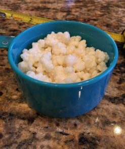 2TBSP Active Organic Milk Kefir Grains Ebook: "Milk Kefir Unleashed" 1 Count (Pack of 1) 32 61 r0vDXQL