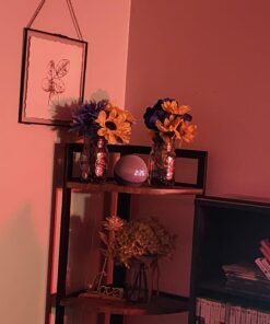 Amazon Echo Dot (5th Gen) with clock | Compact smart speaker with Alexa and enhanced LED display for at-a-glance clock, timers, weather, and more | Cloud Blue Device only 30 61 wyKAmjEL