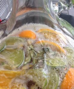 FastRack Stopper/Airlock 1 Gallon Glass Fermenter/Jug, Clear 1 Count (Pack of 1) 29 61 yZEBp7TL