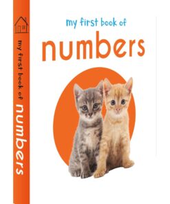 My First Library : Boxset of 10 Board Books for Kids (My First Book of) Board book 41 61 zYEFIwVL