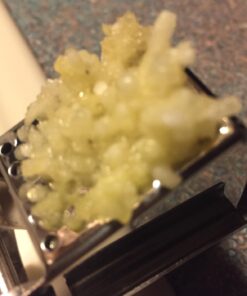 ORBLUE Garlic Press Stainless Steel - Premium Professional Grade Garlic Mincer, Crusher & Peeler Set - Easy Clean, Dishwasher Safe & Rust-proof Ageless Silver 34 6100lpQ0ZZL