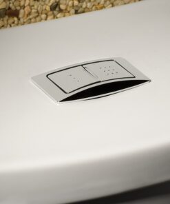 American Standard 2886518.020 H2 Option Siphonic Dual Flush Right Height Elongated Toilet with Liner, White, 2-Piece 13 6101CfddprL