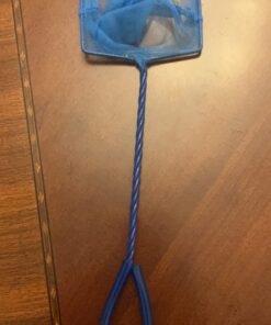 PENN-PLAX Quick-Net Aquarium Fish Nets – Durable, Strong, and Safe – Color May Vary (Blue or Green) 4" Net 42 6104ZgcBoAL