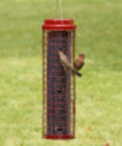 Perky-Pet 102 4 lb Squirrel Resistant Easy Feeder 26 610CGYAAbL