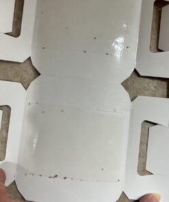 HARRIS Bed Bug Traps - Parent (20-Pack) 20 610GfWocKCL