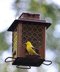 Stokes Select Bird Feeder, Metal Hopper Bird Feeder, 4 Feeding Ports, 3.6 lb Bird Seed Capacity, Copper Finish 30 610HlhTs OL