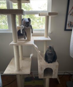 Go Pet Club Cat Tree, 50W x 26L x 72H, Beige 42 610MRKNOoHL