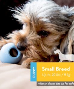 KONG - Puppy Toy Natural Teething Rubber - Fun to Chew, Chase and Fetch - for Small Puppies - Blue 20 610MaxQwZL
